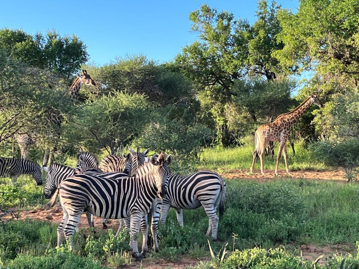 Lindiwe Safari Lodge Hoedspruit Kültér fotó